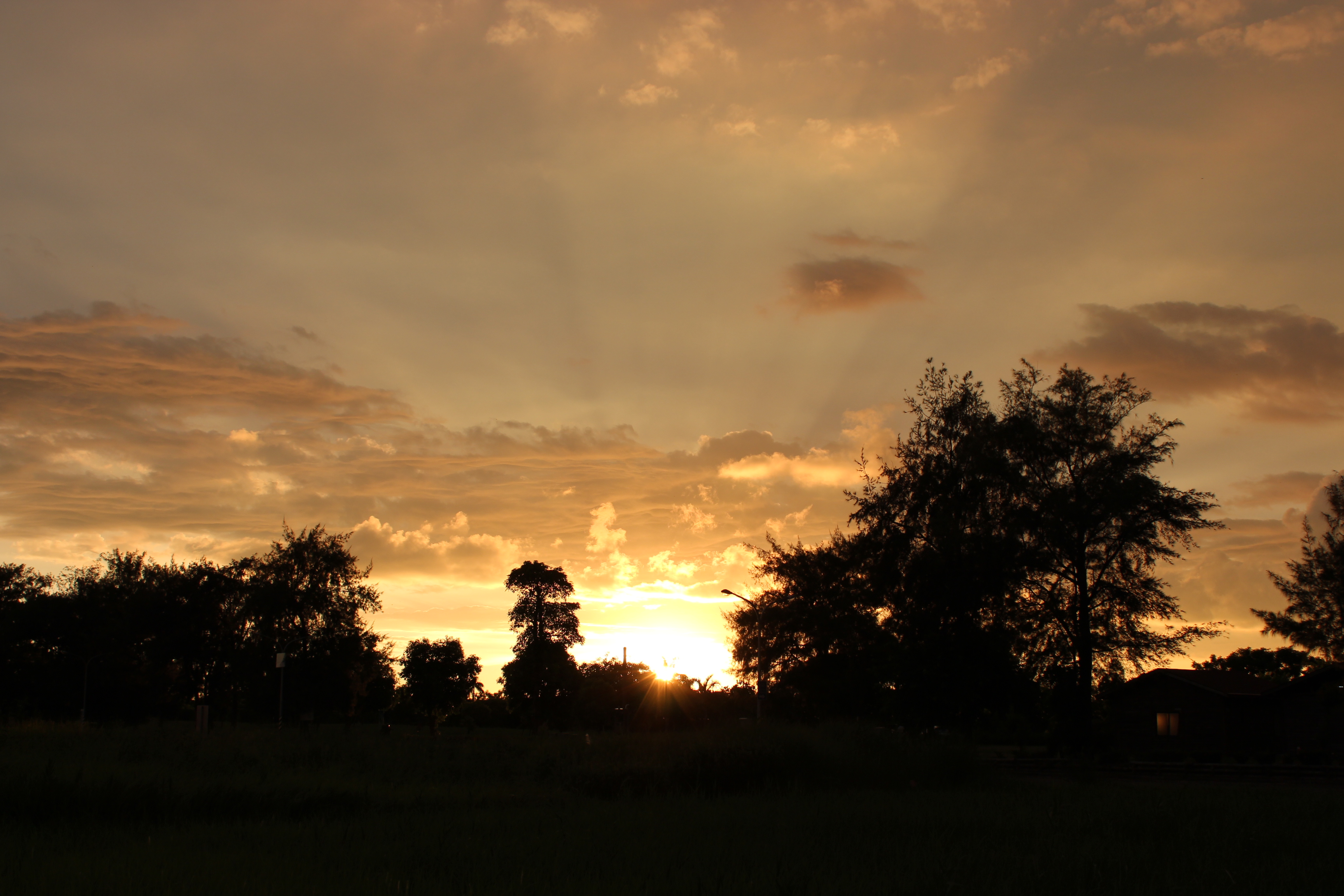 in front of the house